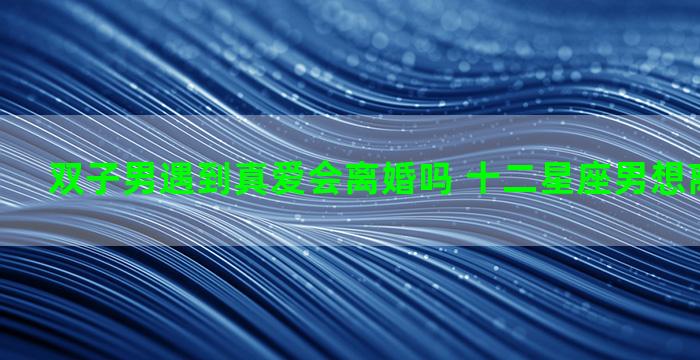 双子男遇到真爱会离婚吗 十二星座男想离婚的表现